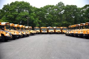fleet of school busses