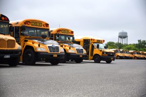 multiple school busses