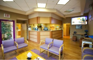 Screen-Shot-2022-03-04-at-6.00.10-PM island orthodontics waiting area